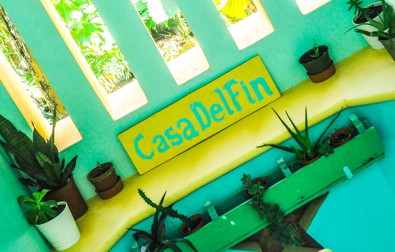 Casa Delfin Guest House ラス・テレナス エクステリア 写真